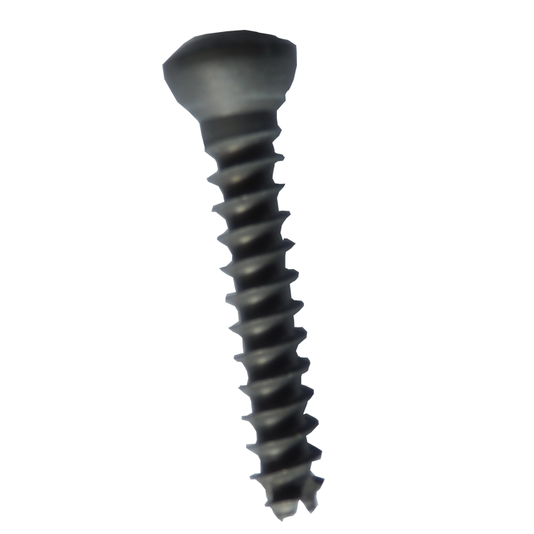 Cannulated Screw .png